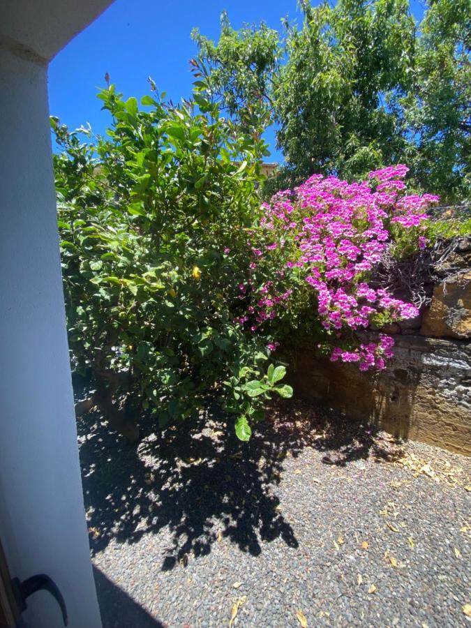 Vivienda Vacacional Casa Pancho Taibique Luaran gambar